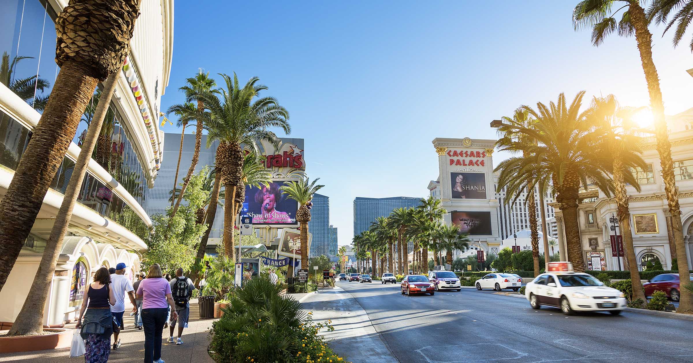 Best Venues and Las Vegas Shows in May 2025